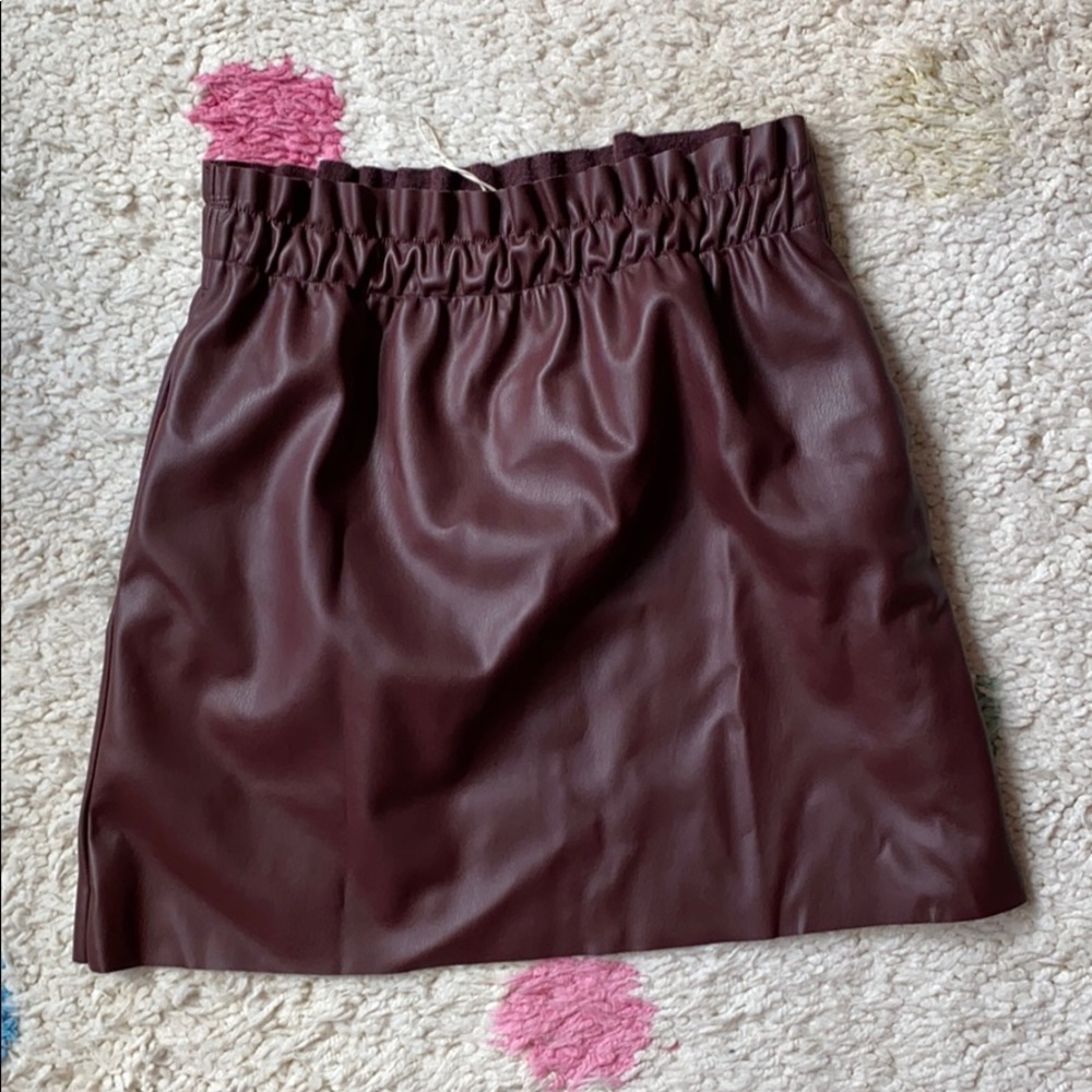 Zara Skirt